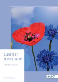 Bleuets et coquelicots