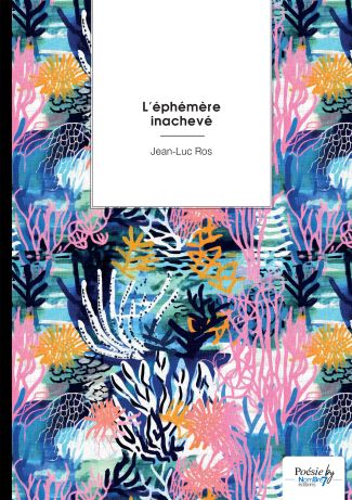 L'éphémère inachevé