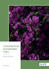 Le bougainvillier de Houinlindah - Tome 2